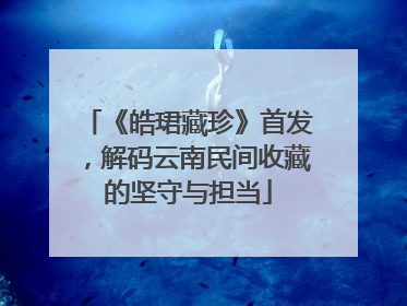 《皓珺藏珍》首发，解码云南民间收藏的坚守与担当