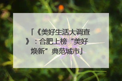 《美好生活大调查》：合肥上榜“美好焕新”典范城市