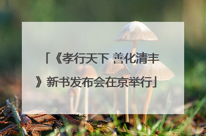 《孝行天下 善化清丰》新书发布会在京举行