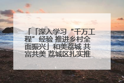 「深入学习“千万工程”经验 推进乡村全面振兴」和美荔城 共富共美 荔城区扎实推进乡村振兴工作