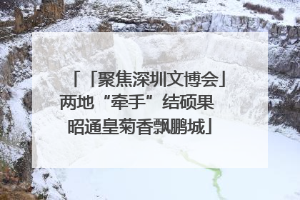 「聚焦深圳文博会」两地“牵手”结硕果 昭通皇菊香飘鹏城