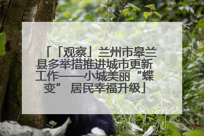 「观察」兰州市皋兰县多举措推进城市更新工作——小城美丽“蝶变” 居民幸福升级