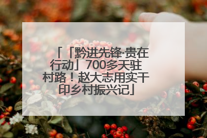 「黔进先锋·贵在行动」700多天驻村路！赵大志用实干印乡村振兴记