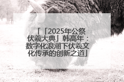 「2025年公祭伏羲大典」韩高年：数字化浪潮下伏羲文化传承的创新之道