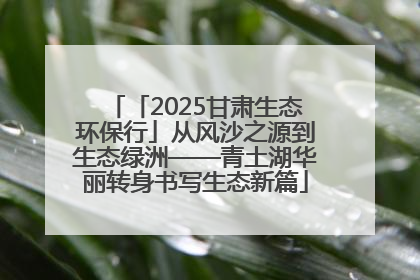 「2025甘肃生态环保行」从风沙之源到生态绿洲——青土湖华丽转身书写生态新篇