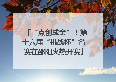 “点创成金”！第十六届“挑战杯”省赛在邵阳火热开赛