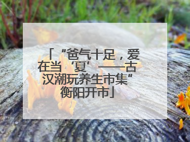 “爸气十足，爱在当‘夏’——古汉潮玩养生市集”衡阳开市