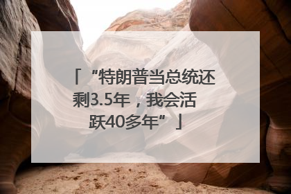 “特朗普当总统还剩3.5年，我会活跃40多年”