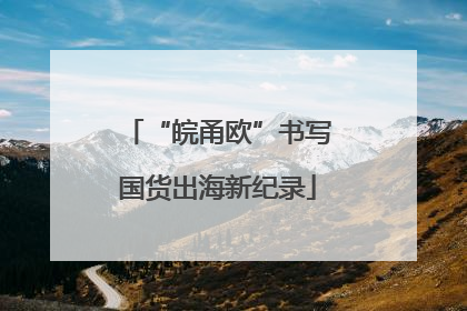 “皖甬欧”书写国货出海新纪录