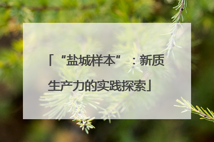 “盐城样本”：新质生产力的实践探索
