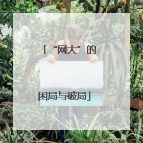 “网大”的困局与破局