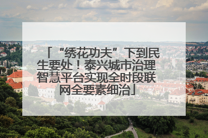 “绣花功夫”下到民生要处！泰兴城市治理智慧平台实现全时段联网全要素细治