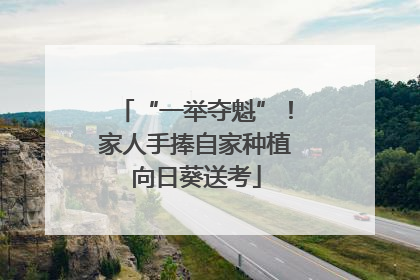 “一举夺魁”！家人手捧自家种植向日葵送考