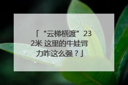 “云梯横渡”232米 这里的牛娃臂力咋这么强？