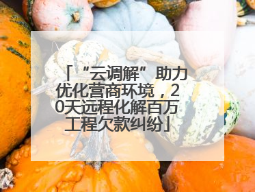 “云调解”助力优化营商环境，20天远程化解百万工程欠款纠纷