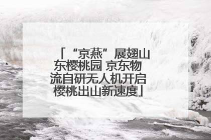“京燕”展翅山东樱桃园 京东物流自研无人机开启樱桃出山新速度