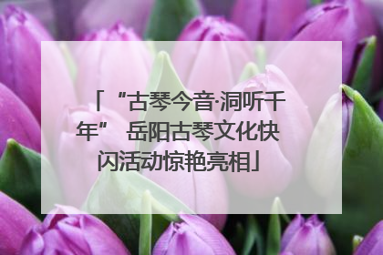 “古琴今音·洞听千年” 岳阳古琴文化快闪活动惊艳亮相