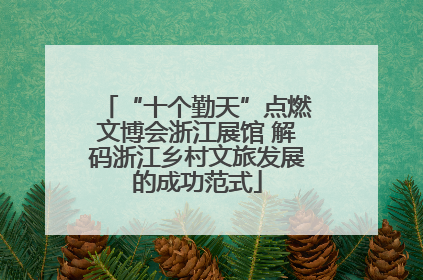 “十个勤天”点燃文博会浙江展馆 解码浙江乡村文旅发展的成功范式