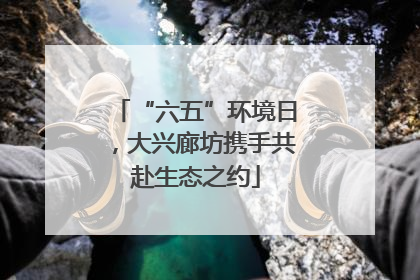 “六五”环境日，大兴廊坊携手共赴生态之约