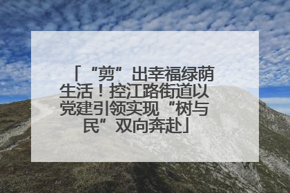 “剪”出幸福绿荫生活！控江路街道以党建引领实现“树与民”双向奔赴