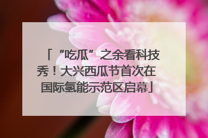 “吃瓜”之余看科技秀！大兴西瓜节首次在国际氢能示范区启幕