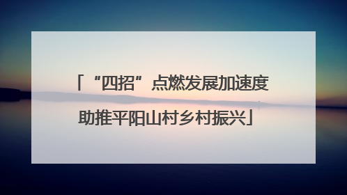 “四招”点燃发展加速度 助推平阳山村乡村振兴