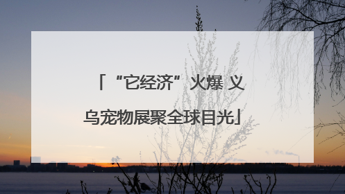 “它经济”火爆 义乌宠物展聚全球目光