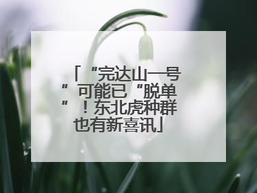“完达山一号”可能已“脱单”！东北虎种群也有新喜讯