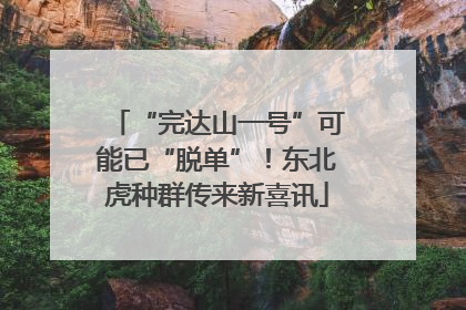 “完达山一号”可能已“脱单”！东北虎种群传来新喜讯