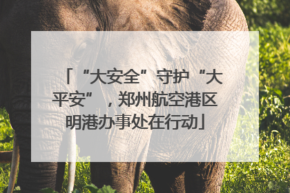 “大安全”守护“大平安”，郑州航空港区明港办事处在行动