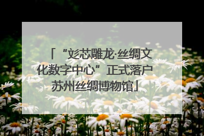 “彣芯雕龙·丝绸文化数字中心”正式落户苏州丝绸博物馆