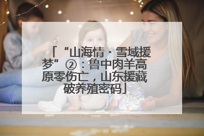 “山海情・雪域援梦”②：鲁中肉羊高原零伤亡，山东援藏破养殖密码