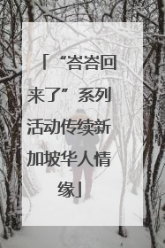 “峇峇回来了”系列活动传续新加坡华人情缘
