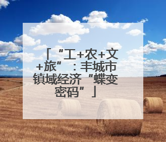 “工+农+文+旅”：丰城市镇域经济“蝶变密码”