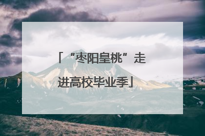 “枣阳皇桃”走进高校毕业季