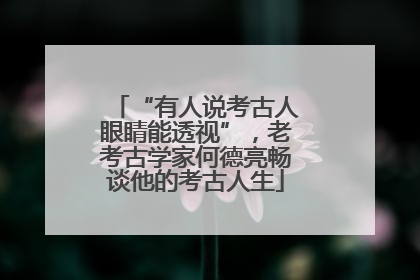 “有人说考古人眼睛能透视”，老考古学家何德亮畅谈他的考古人生