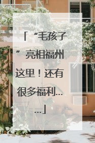 “毛孩子”亮相福州这里！还有很多福利……