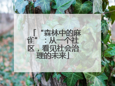“森林中的麻雀”：从一个社区，看见社会治理的未来