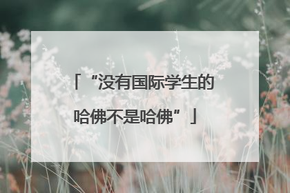 “没有国际学生的哈佛不是哈佛”