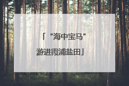 “海中宝马”游进霞浦盐田