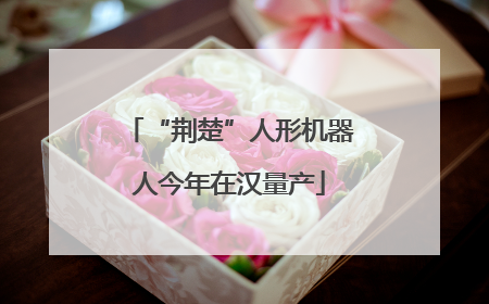 “荆楚”人形机器人今年在汉量产