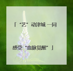 “艺”动津城 一同感受“血脉觉醒”