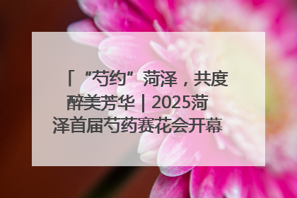 “芍约”菏泽，共度醉美芳华｜2025菏泽首届芍药赛花会开幕，103家企业参赛
