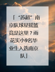 “苏超”南京队球星摇篮竟是这里？雨花实小9名毕业生入选南京队
