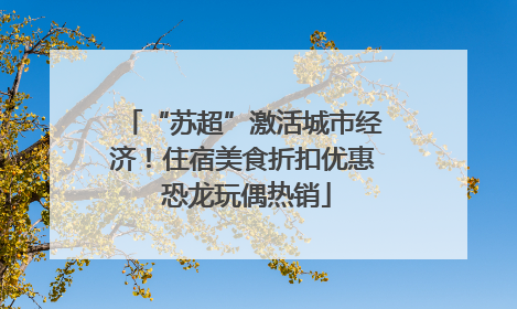 “苏超”激活城市经济！住宿美食折扣优惠 恐龙玩偶热销