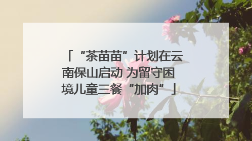 “茶苗苗”计划在云南保山启动 为留守困境儿童三餐“加肉”