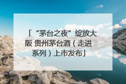 “茅台之夜”绽放大阪 贵州茅台酒（走进系列）上市发布