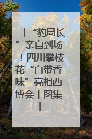 “豹局长”亲自到场！四川攀枝花“自带香味”亮相西博会丨图集