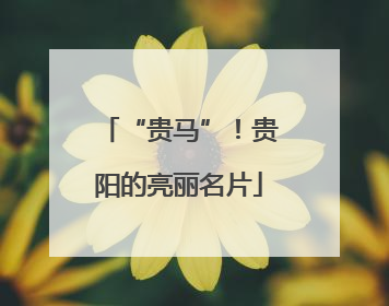 “贵马”！贵阳的亮丽名片