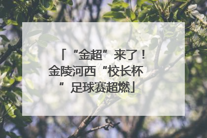 “金超”来了！金陵河西“校长杯”足球赛超燃